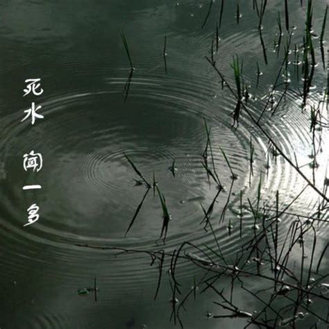 死水意思|名诗《死水》翻译